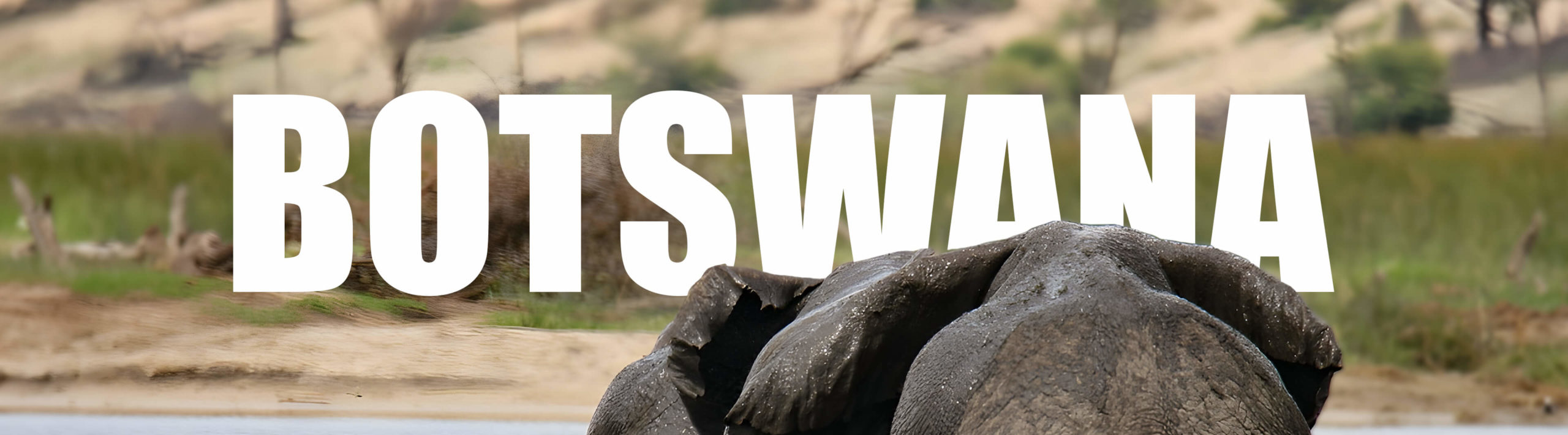 botsava-aml-cft-global-facility