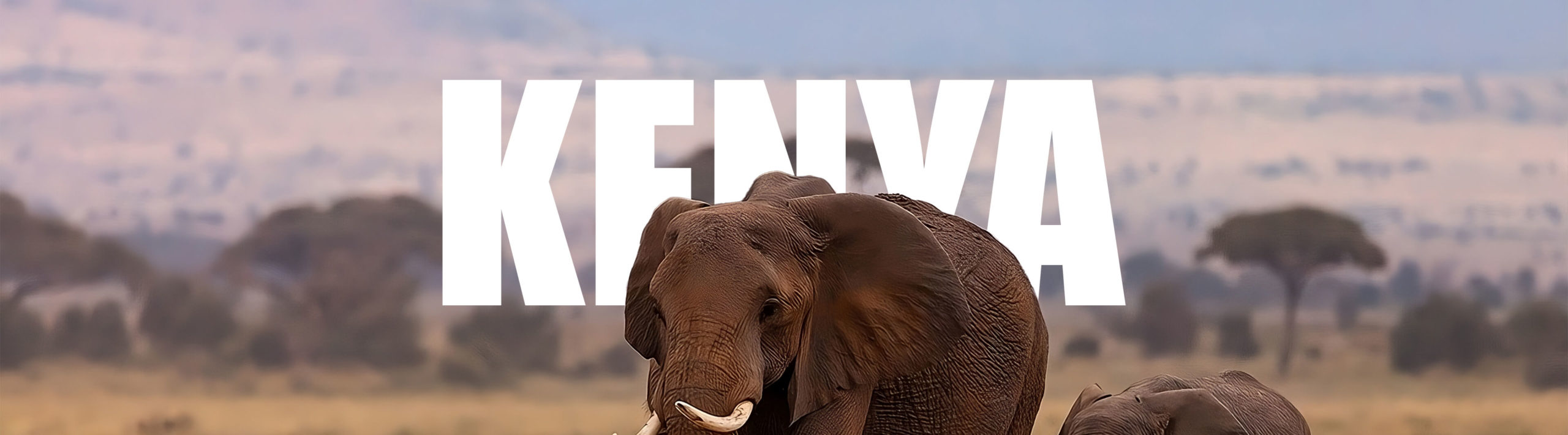 kenya-aml-cft-global-facility