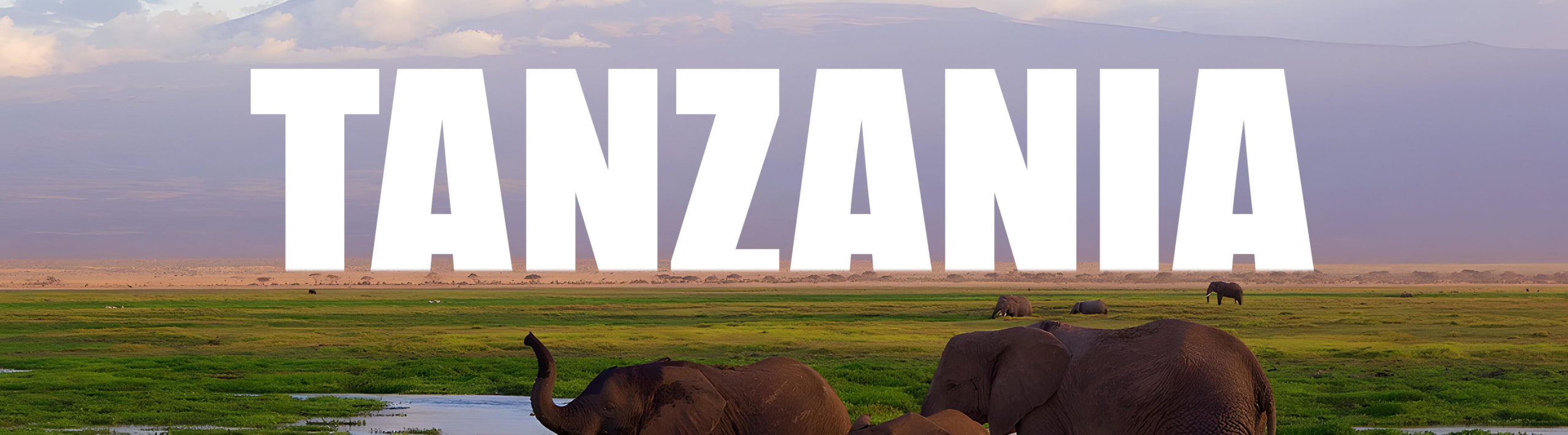 tanzania-aml-cft-global-facility